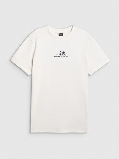 4F Damski tshirt z nadrukiem 4F 4FRAW25TTSHF3411 beżowy Beżowy