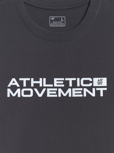 Męski t-shirt z nadrukiem 4F 4FRAW25TTSHM3384 - szary