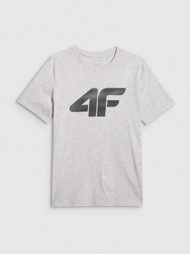 4F Męski tshirt z nadrukiem 4F 4FRMM00TTSHM3251 szary Szary